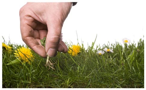 Debt Settlement Companies | How to Find Them